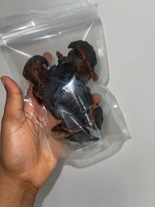 Dried Snails (Large sizes)